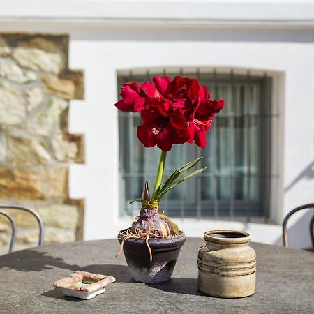 Classic Villas Ouziel Salonic Exterior foto